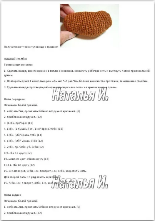 Собачка Мисс Чи, фото 6