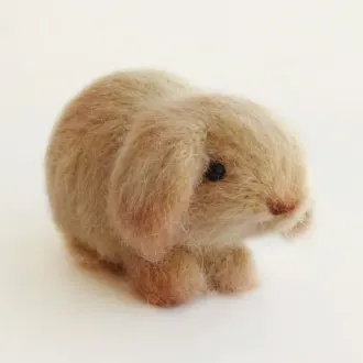 Кролик