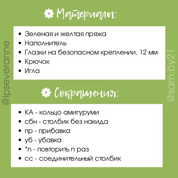 Лягушка, фото 2