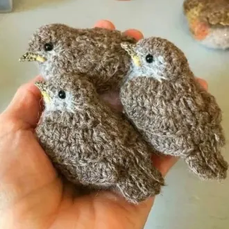 ПТИЧКИ