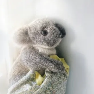 Коала спицами
