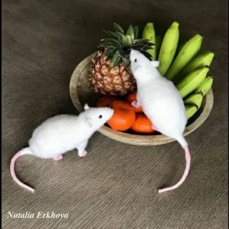 Крыска