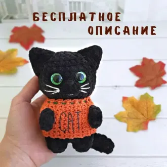 Котик Тыква