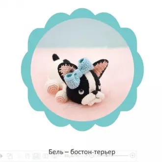 Бостон-терьер
