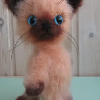 Котенок сиамский