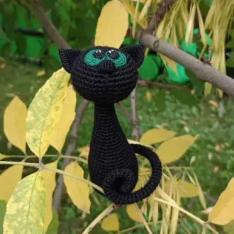 Черная кошка