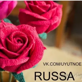 Роза