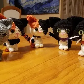 Котики