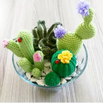 Кактусы