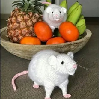 Крыса