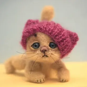 Котик в шапке