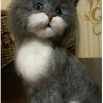 Котик