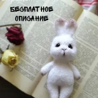 Зайка
