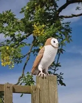 Сова