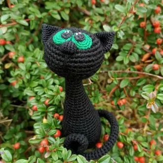 Чёрная кошка
