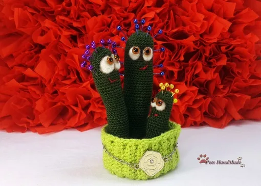 Семья кактусов