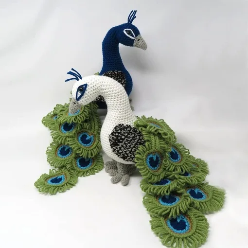 Королевский ПАВЛИН