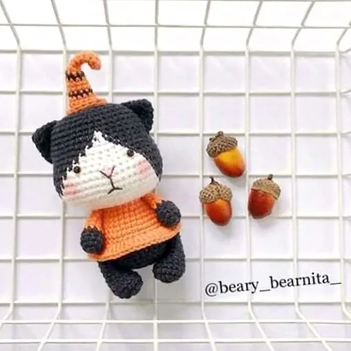 Тыквенный котик